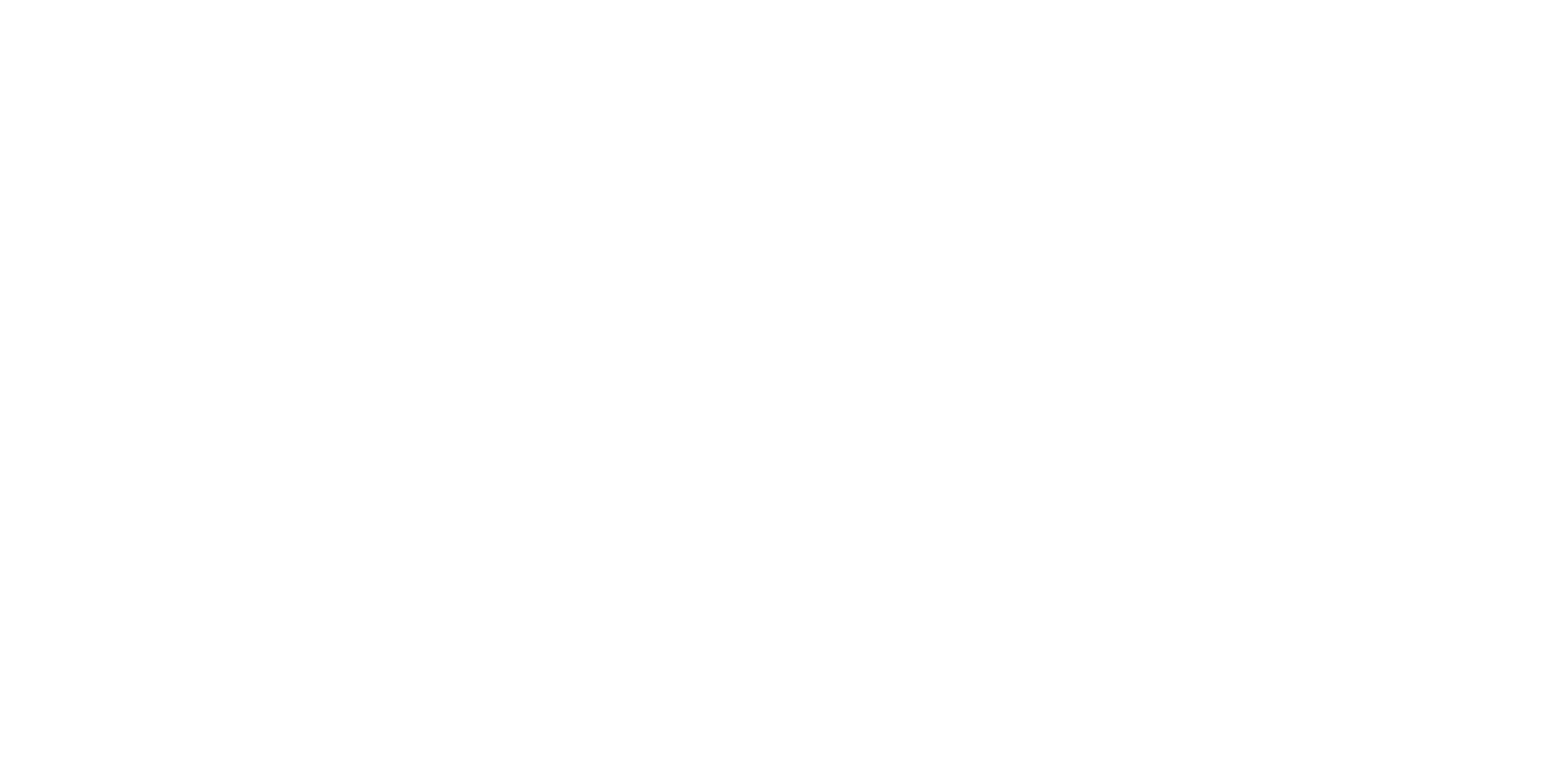 light logo